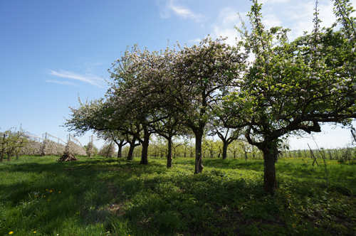 Unsere Landschaft